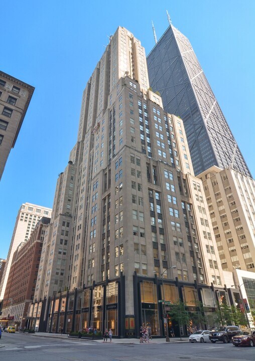 159 E Walton Pl in Chicago, IL - Building Photo