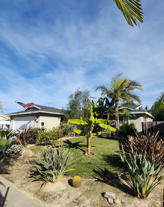 5051 Rebel Rd in San Diego, CA - Building Photo - Building Photo