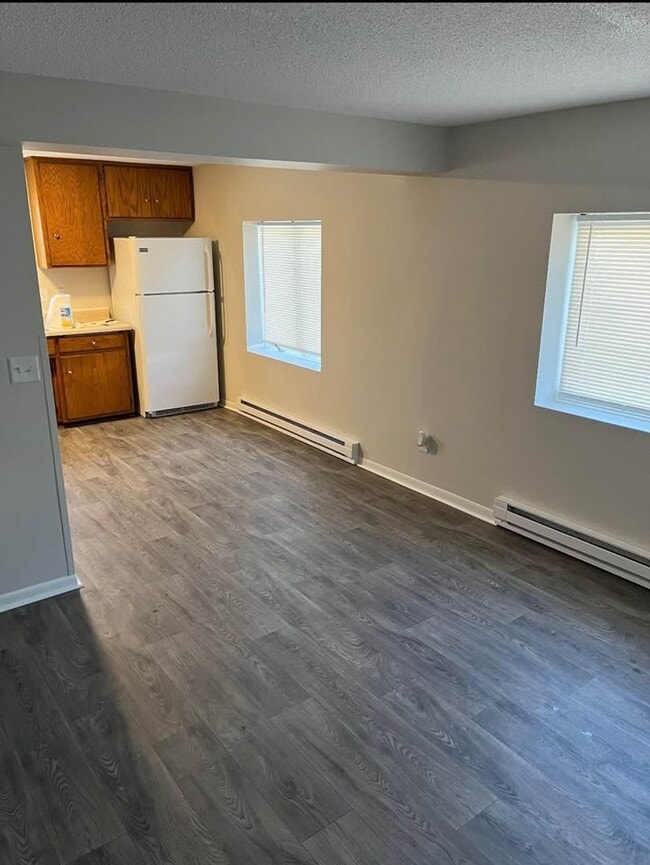 116 E Church St in Belle Plaine, MN - Building Photo - Building Photo