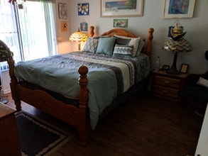 1320 Daffodil Pl in Dunedin, FL - Building Photo - Building Photo