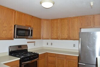 5 Terrace Dr in Sausalito, CA - Building Photo - Building Photo