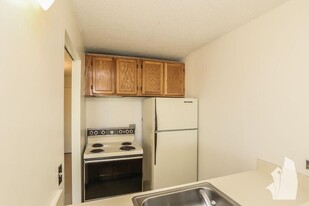 28 W Chestnut St, Unit 28A in Chicago, IL - Building Photo - Building Photo