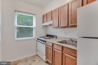 39 Mississippi Ave SE, Unit A in Washington, DC - Building Photo - Building Photo