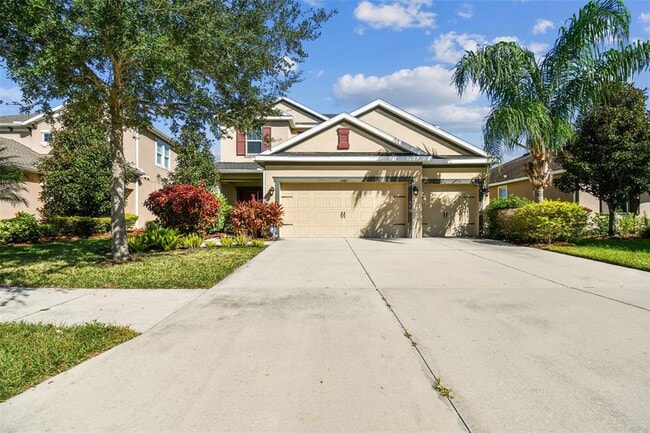 33181 Shadow Branch Ln in Wesley Chapel, FL - Building Photo - Building Photo