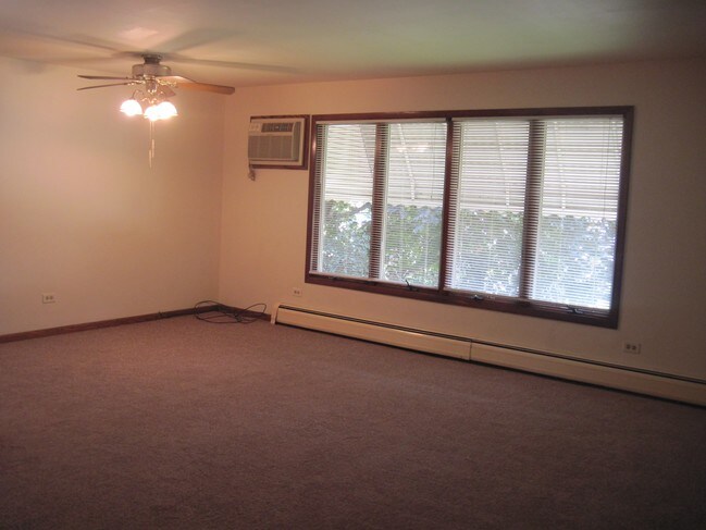 8728 S 78th Ave in Bridgeview, IL - Foto de edificio - Building Photo