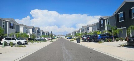 299 Mangrove Shade Cir in Apollo Beach, FL - Foto de edificio - Building Photo