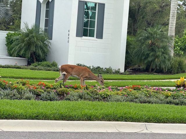 6212 Dry Tortugas Dr in Sarasota, FL - Foto de edificio - Building Photo
