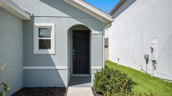 32641 Abby Lax Ln in Zephyrhills, FL - Building Photo - Building Photo
