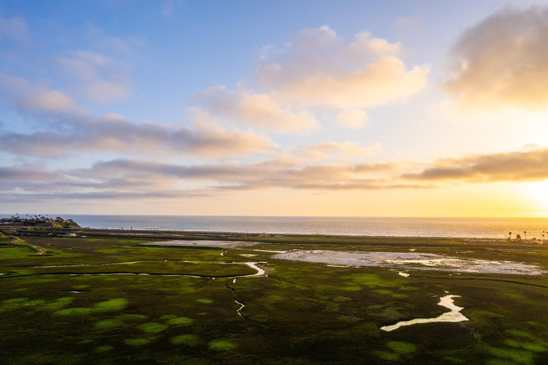 2465 Caminito Ocean Cove in Encinitas, CA - Building Photo