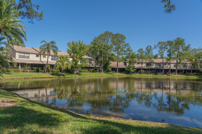 Chevy Chase Condos