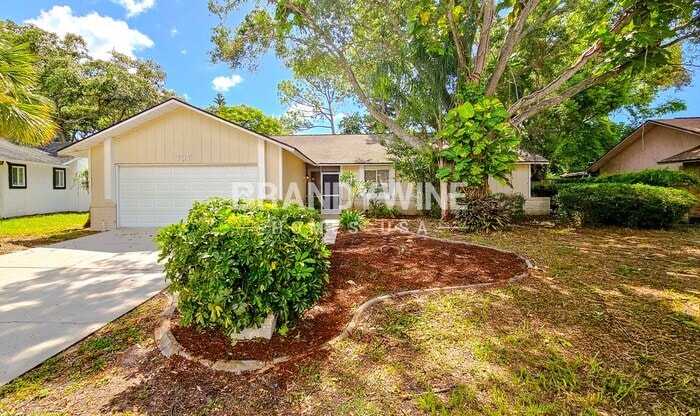 737 Country Shire Ln in Palm Harbor, FL - Building Photo