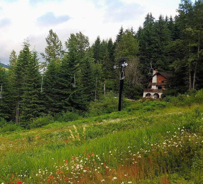 1041 Snoqualmie Dr, Unit Studio in Snoqualmie Pass, WA - Foto de edificio