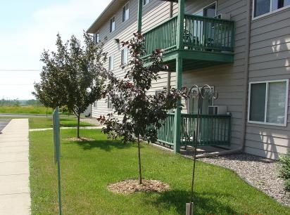 Park Place Apartments in Mountain Iron, MN - Building Photo - Building Photo