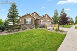 9316 Rock Pond Way in Colorado Springs, CO - Building Photo