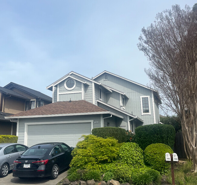 property at 7852 Medallion Way