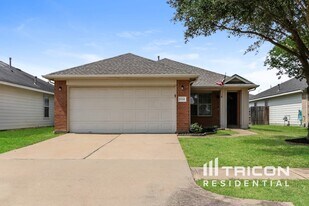 19314 Grand Colony Ct in Katy, TX - Building Photo
