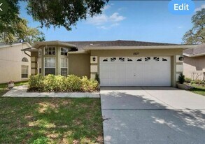 2527 Wrencrest Cir in Valrico, FL - Building Photo