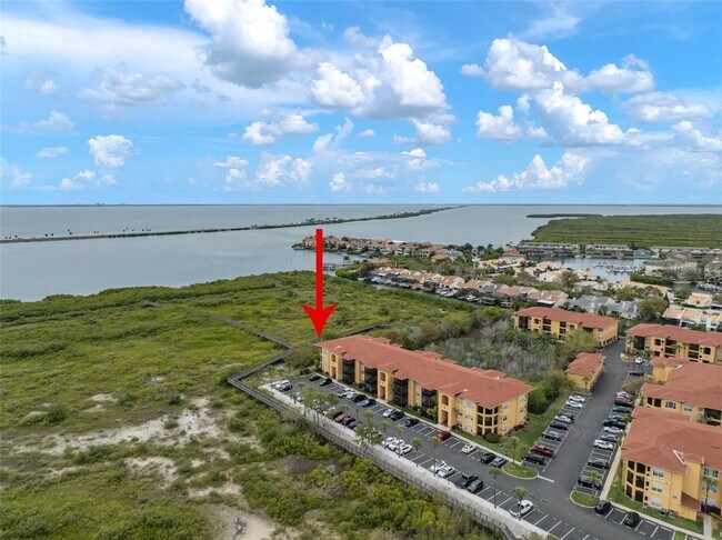 4302 Bayside Village Dr, Unit 302 in Tampa, FL - Building Photo - Building Photo
