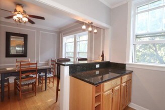 224 N Oak Park Ave, Unit 3P in Oak Park, IL - Building Photo - Building Photo