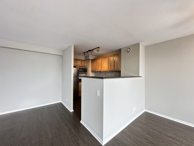 4334 N Hazel St, Unit 7161 in Chicago, IL - Building Photo - Building Photo