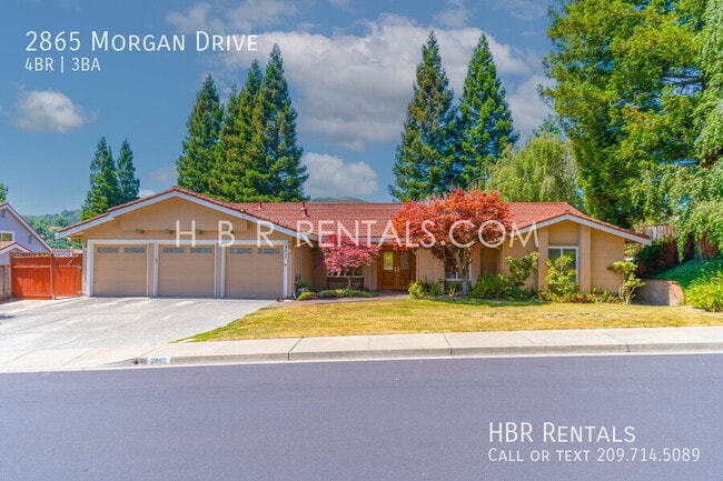 property at 2865 Morgan Dr