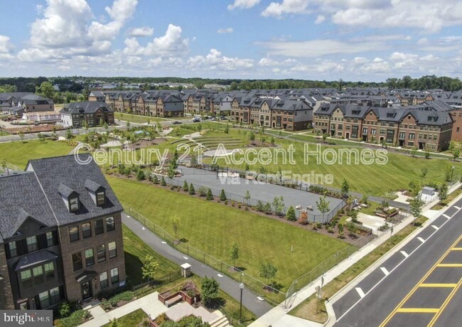 43483 Charitable St in Ashburn, VA - Building Photo - Building Photo