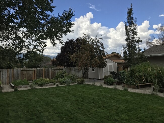 1668 County Rd in Minden, NV - Foto de edificio - Building Photo