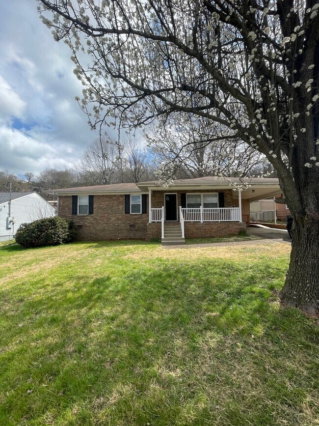 property at 411 Andrews St