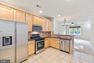 22717 Settlers Trail Terrace in Brambleton, VA - Building Photo - Building Photo