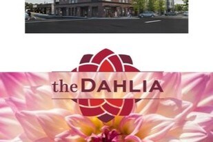 The Dahlia Apartments