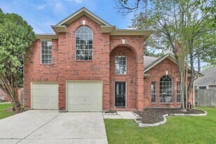 14410 Cypress Falls Dr in Cypress, TX - Building Photo