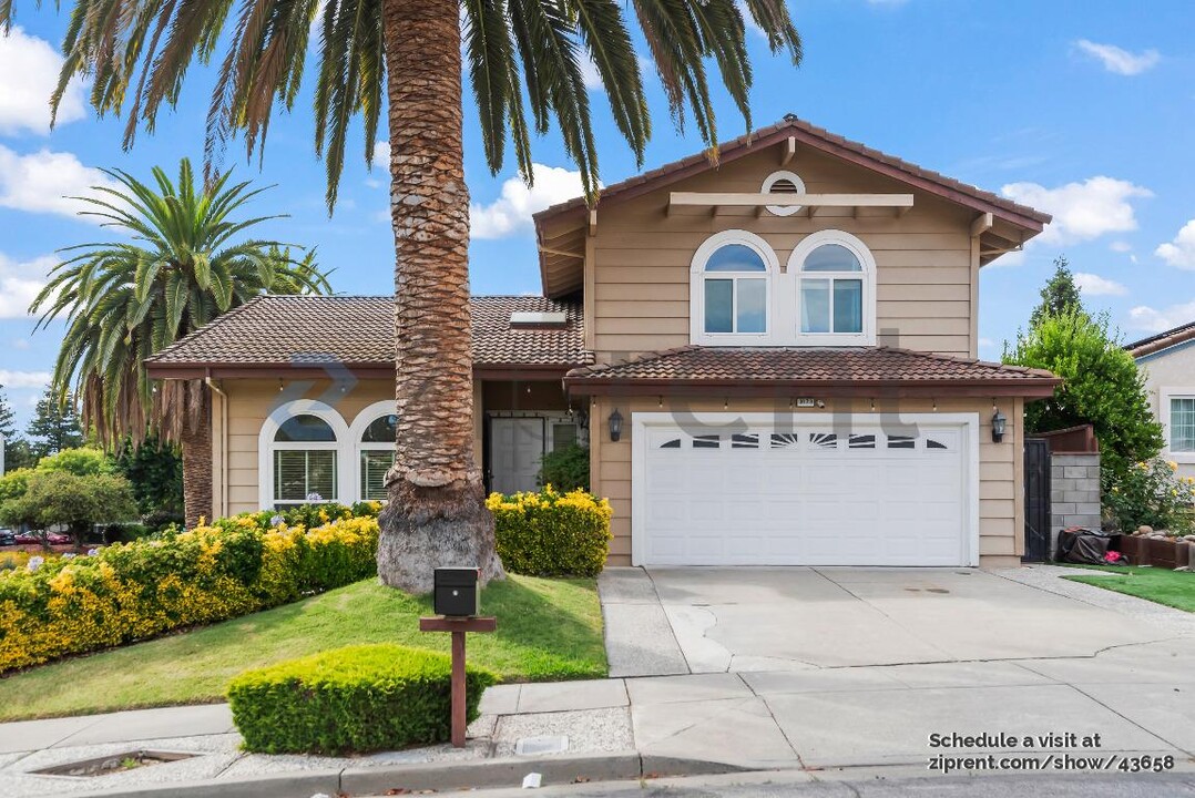 3173 Ingersoll Pl in Fremont, CA - Building Photo