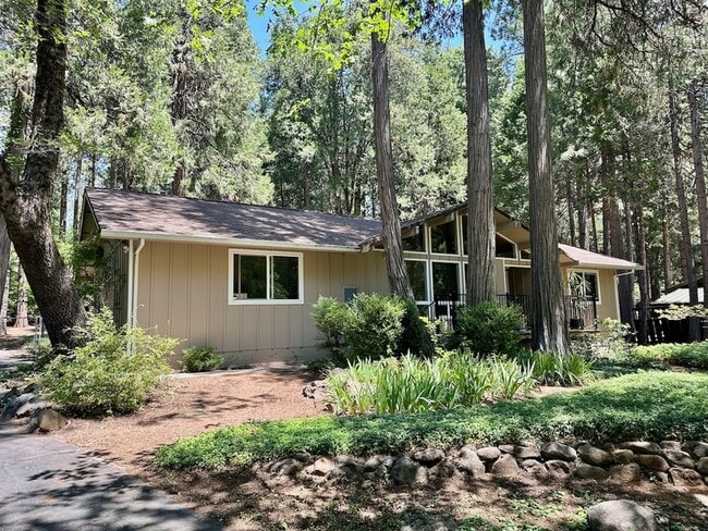 property at 13246 Red Dog Rd