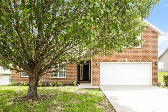 property at 151 Mary Joe Martin Dr