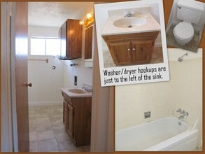 1585 S 800 E in Orem, UT - Building Photo - Building Photo