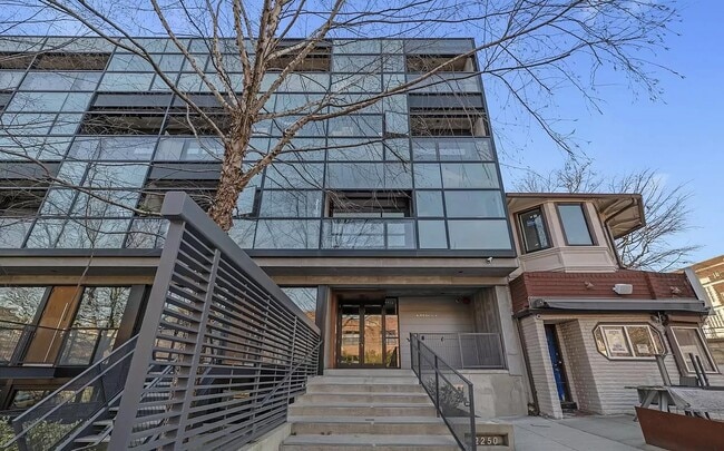 2250-2211 11th St NW in Washington, DC - Building Photo - Building Photo