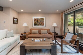 1024 E Hopkins Ave in Aspen, CO - Building Photo - Building Photo