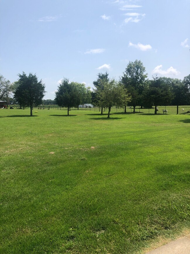 11824 E Cypress Dr in Carbondale, IL - Building Photo - Building Photo