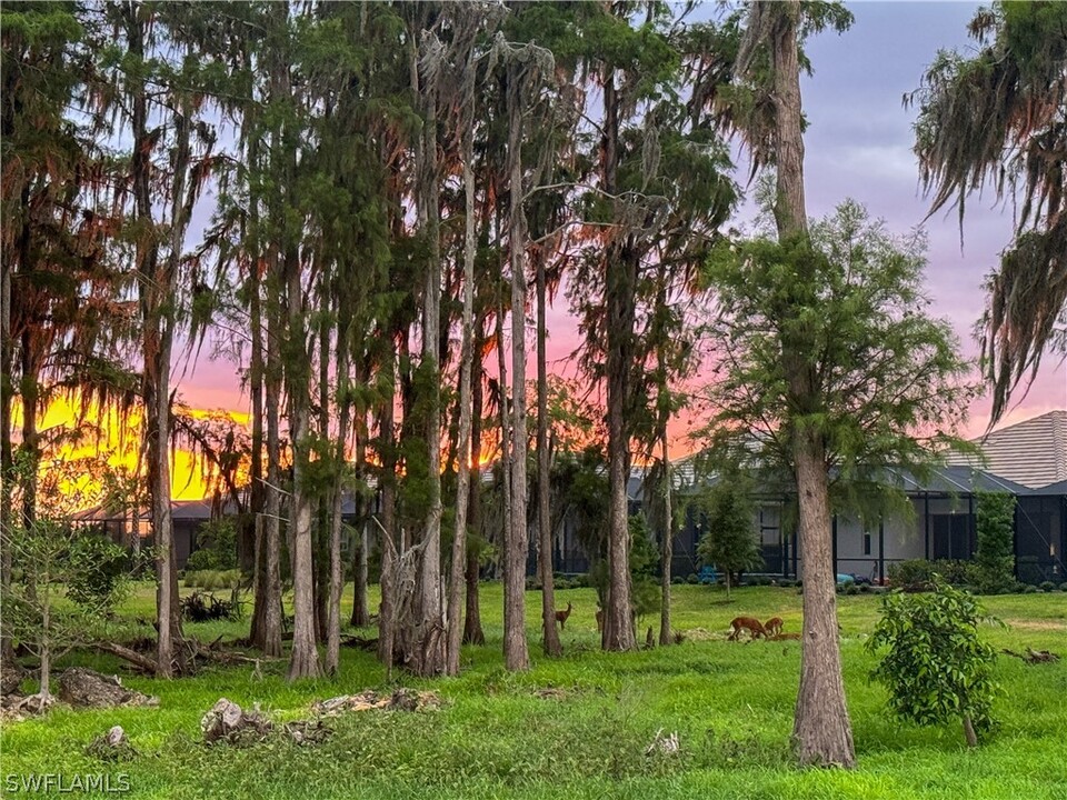 6023 Ellerston Wy in Ave Maria, FL - Building Photo