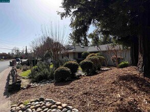 2994 Roundhill Rd in Alamo, CA - Building Photo - Building Photo