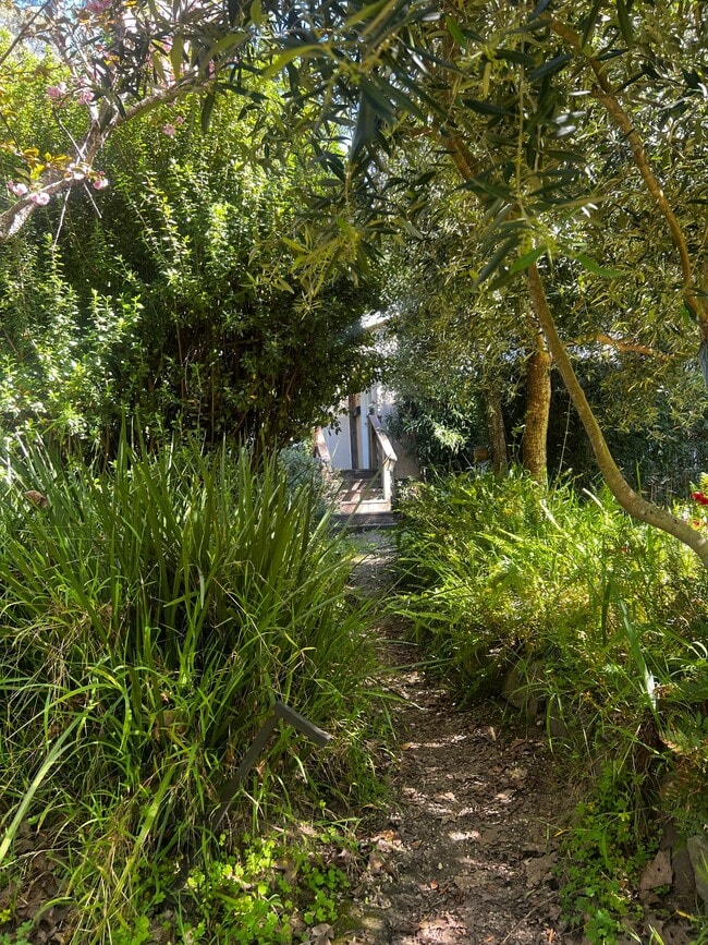 1639 Furlong Rd in Sebastopol, CA - Building Photo - Building Photo