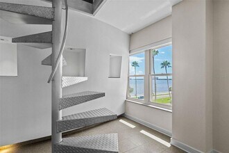 2401 Bayshore Blvd in Tampa, FL - Building Photo - Building Photo