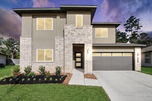 10438 Plateau Pt Trl in Shenandoah, TX - Building Photo
