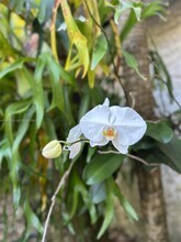 2842 Coconut Ave in Miami, FL - Building Photo - Building Photo