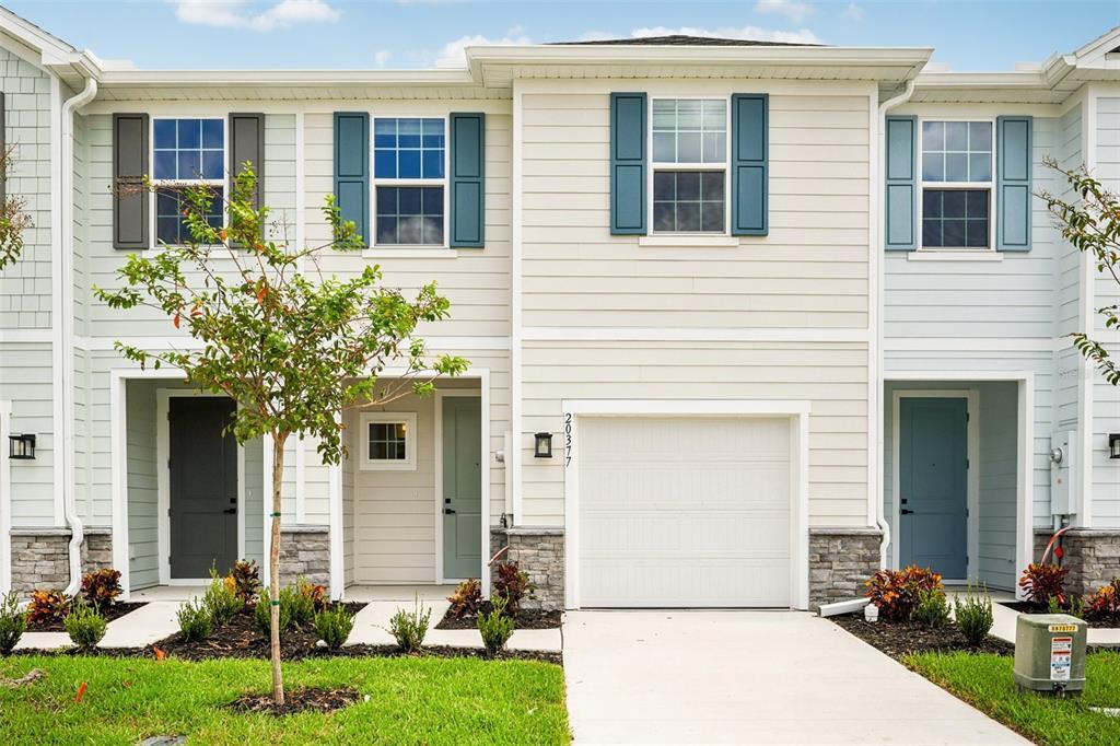 20377 Lou Angela Ln in Lutz, FL - Foto de edificio