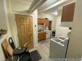 20 Alton Pl in Brookline, MA - Building Photo