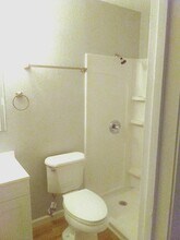 234 Sikeston Ct in Troutman, NC - Building Photo - Building Photo