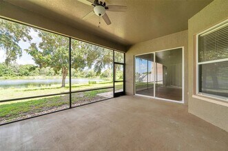 4812 Walnut Ridge Rd in Land O Lakes, FL - Building Photo - Building Photo