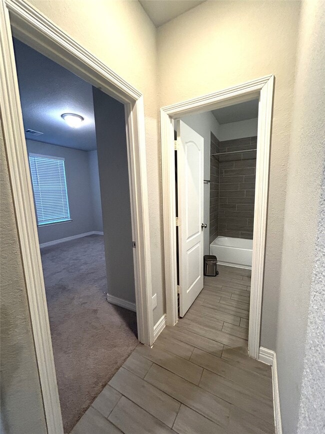 119 Buttonwood Ct in Willis, TX - Building Photo - Building Photo