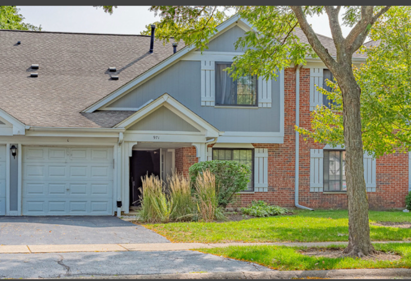 971 Yosemite Trail in Roselle, IL - Building Photo